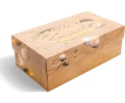 Saucony X Colour Plus Grid Shadow 2 -Saucony Sales 3636x3636 S70822 1 9